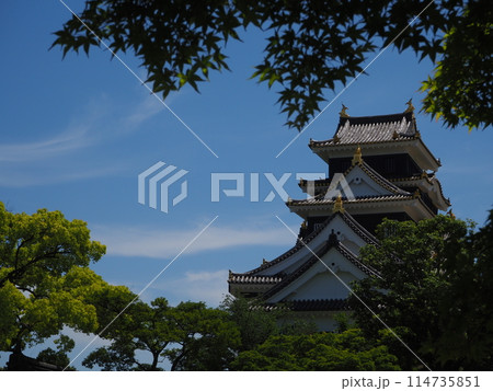 夏の岡山城 114735851