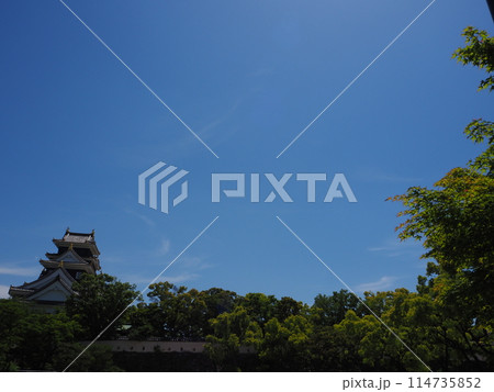 夏の岡山城 夏の岡山城 114735852