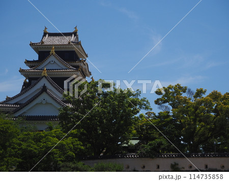 夏の岡山城 114735858