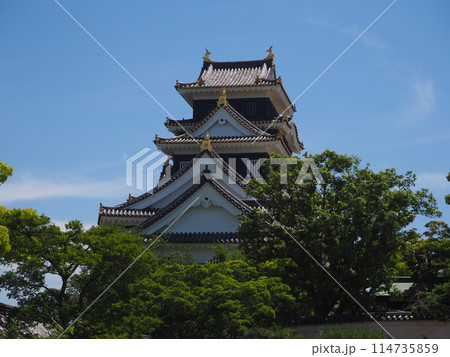 夏の岡山城 夏の岡山城 114735859