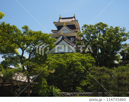 夏の岡山城 夏の岡山城 114735860