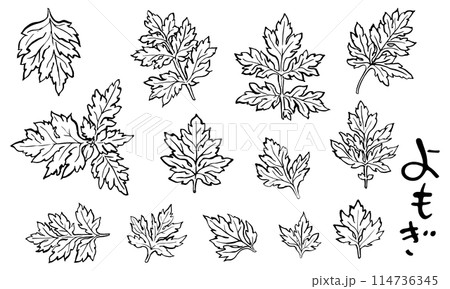 筆で描いたよもぎ 筆で描いたよもぎ 114736345