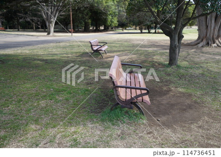 公園のベンチ 114736451