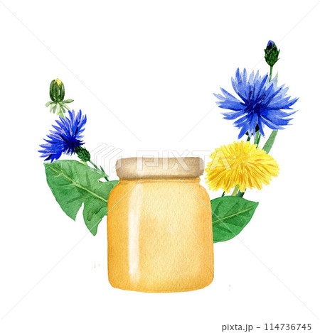 Composition of watercolor elements with honey jar, dandelion, cornflower for design, postcards, logos, business cards, invitations Composition of watercolor elements with honey jar, dandelion, cornflower for design, postcards, logos, business cards, invitations 114736745