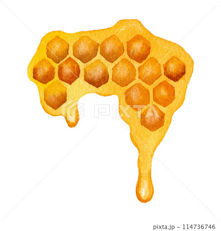 Watercolor honeycomb with honey. Hand-drawn illustration isolated on white background for label, invitation, card, poster Watercolor honeycomb with honey. Hand-drawn illustration isolated on white background for label, invitation, card, poster 114736746