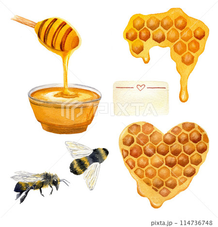 Set of watercolor honey illustrations honeycomb, honey heart, bee, label, honey bowl. Hand drawn isolated on a white background Set of watercolor honey illustrations honeycomb, honey heart, bee, label, honey bowl. Hand drawn isolated on a white background 114736748