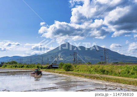 初夏の猪苗代の水田地帯　しろかきをするトラクター　福島県猪苗代町 114736810