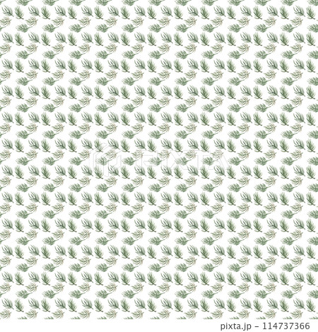 Pine branches. Modern Christmas wallpaper. New Year party. Ideal holiday decor: packaging and textiles. Seamless Xmas print 114737366