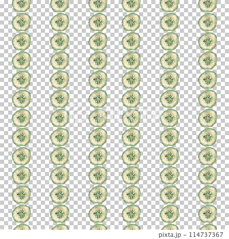 Cucumber slices. Simple pattern. Watercolor drawing. Banner template. Summer harvest flat illustration. Ripe vegetable 114737367
