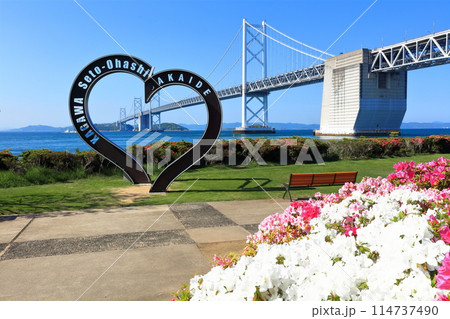 【香川県】ツツジ咲く瀬戸大橋記念公園から見た春の瀬戸大橋 114737490