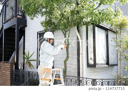 伸びた庭木をノコギリで切る作業員 伸びた庭木をノコギリで切る作業員 114737715