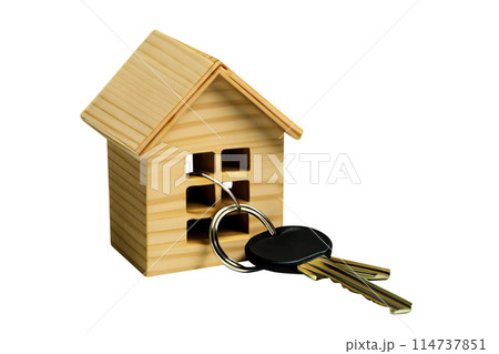 Mini house for real estate investment. Mortgage concept. Searching, choice of location for construction, rental housing. 114737851