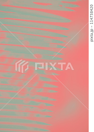 Pink background with pale turquoise leaf pattern, floral abstract background Pink background with pale turquoise leaf pattern, floral abstract background 114738420