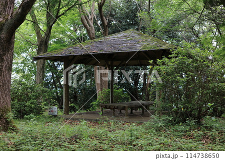 廃れた公園の東屋 1 114738650