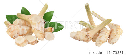 Fresh galangal root with slices isolated on white background with full depth of field. 114738814