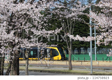 宇都宮LRT 宇都宮LRT 114738923