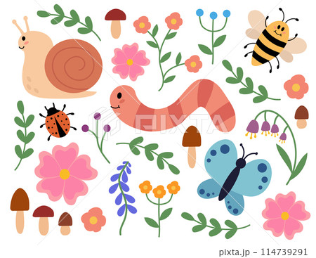 Cute and cozy set of snail, worm, butterfly, bee, ladybug, mushrooms and flowers. Children clip art. Spring or summer flora and fauna. Vector flat illustration. Cute and cozy set of snail, worm, butterfly, bee, ladybug, mushrooms and flowers. Children clip art. Spring or summer flora and fauna. Vector flat illustration. 114739291