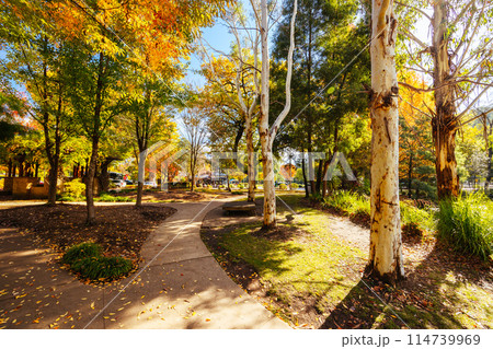 Marysville in Autumn Colours in Australia 114739969