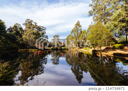Marysville in Autumn Colours in Australia Marysville in Autumn Colours in Australia 114739971
