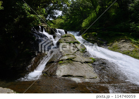新緑の菊池渓谷 新緑の菊池渓谷 114740059