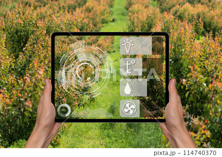 Farmer examines the garden of fruits and sends data to the cloud from the tablet. Smart farming and digital agriculture 114740370