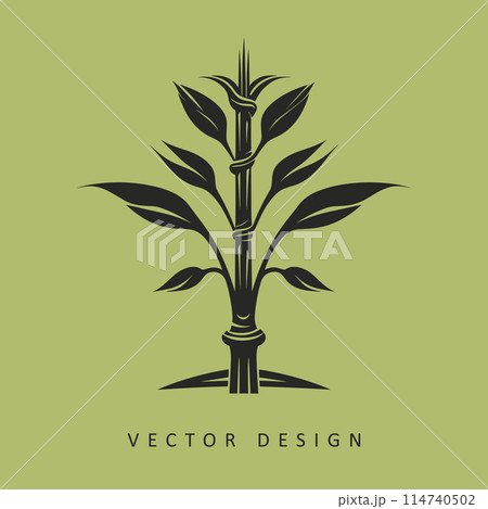 green bamboo minimalist vector design isolated illustration 114740502