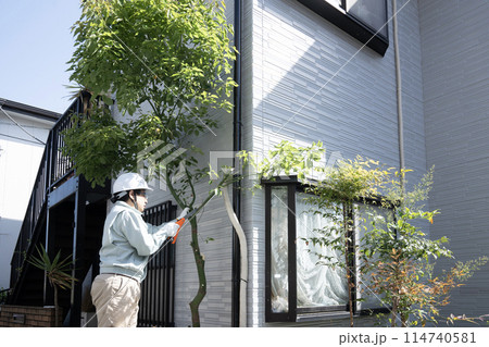 伸びた庭木をノコギリで切る作業員 伸びた庭木をノコギリで切る作業員 114740581