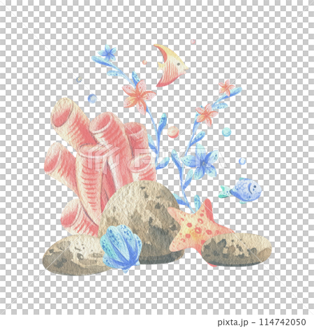 Sea corals, algae, shells, starfish, fish, bubbles. Watercolor illustration hand drawn in coral, turquoise and blue colors. Composition isolated from the background 114742050