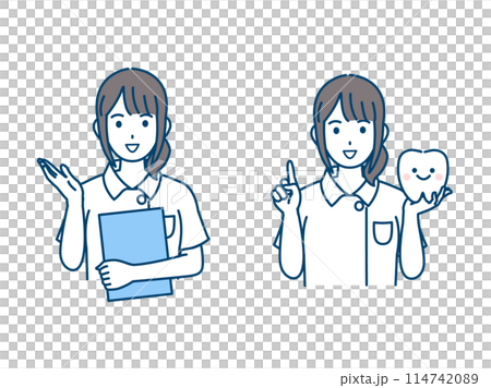 歯について説明する歯医者、歯科衛生士の女性のイラスト 114742089