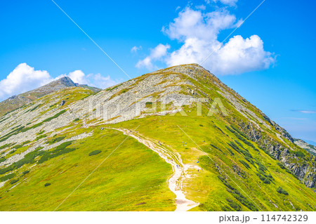 A hiker traverses a trail on Chopok Mountain with lush green slopes and clear blue skies. Low Tatras, Slovakia A hiker traverses a trail on Chopok Mountain with lush green slopes and clear blue skies. Low Tatras, Slovakia 114742329