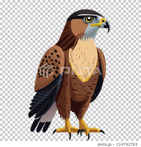 一隻鷹 114742763