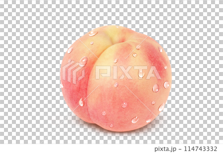 Peach illustration realistic white background 114743332