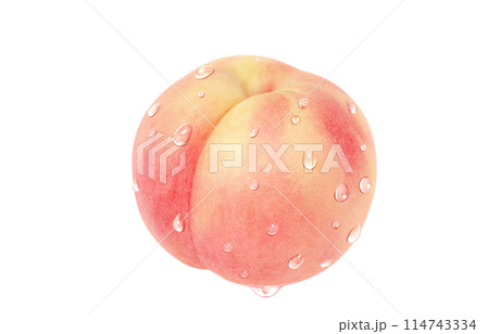 桃 イラスト リアル 白バック 114743334