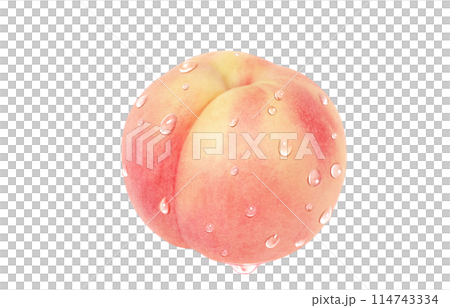 桃 イラスト リアル 白バック 114743334