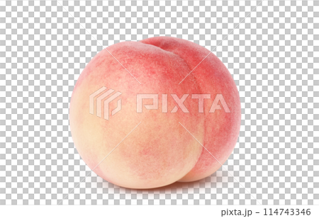 Peach illustration realistic white background Peach illustration realistic white background 114743346