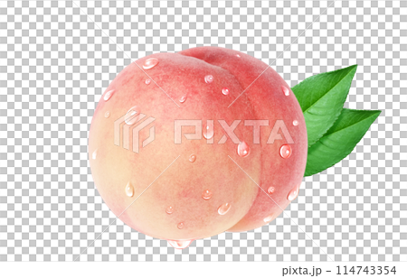 Peach illustration realistic white background Peach illustration realistic white background 114743354
