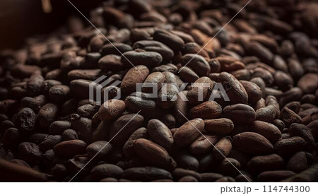 cocao beans background 114744300
