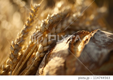 The concept of baking bread. Various breads and wheat varieties displayed on the table 114744563