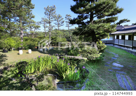 国指定文化財  養翠園(ようすいえん）のあやめ池　大名庭園　徳川家　和歌山市 114744993
