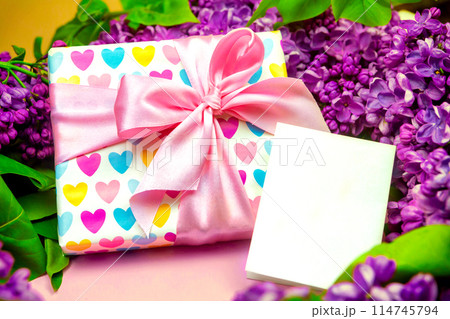 beautiful dark purple fresh lilac on the pink background, purple background beautiful dark purple fresh lilac on the pink background, purple background 114745794