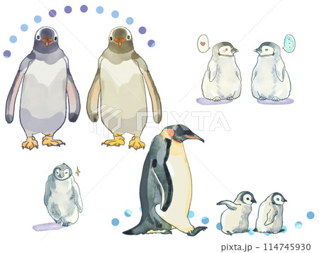 ペンギン水彩イラスト ペンギン水彩イラスト 114745930