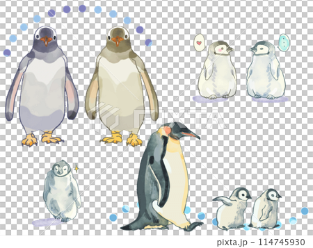 企鵝水彩插圖 114745930