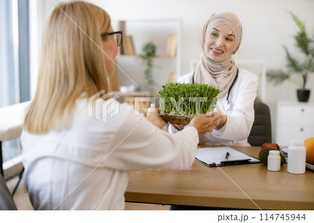 Arab female doctor makes treatment plan for gastrointestinal tract. 114745944