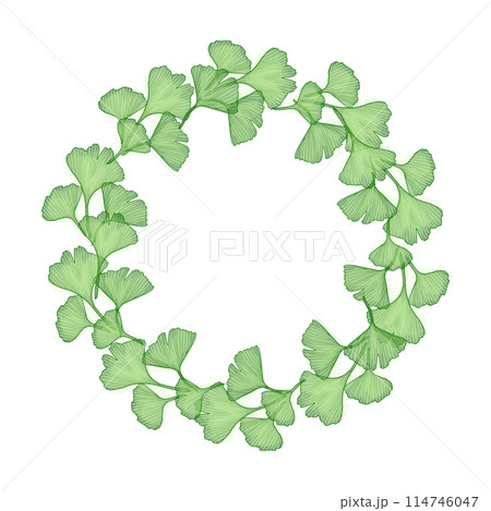 Ginkgo branch with leaves wreath frame, vector illustration for design Ginkgo branch with leaves wreath frame, vector illustration for design 114746047