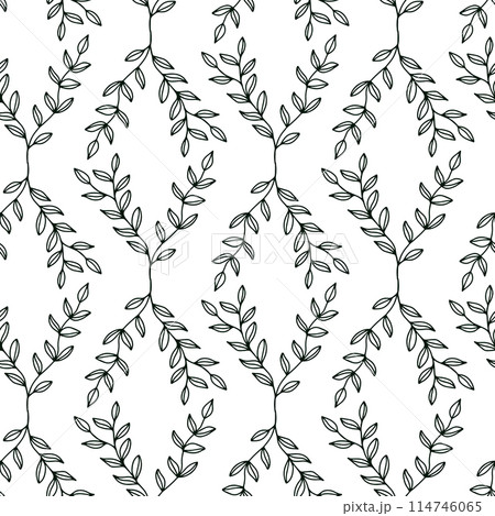 Doodle leaves seamless pattern with cute outline leaves. Vector background 114746065