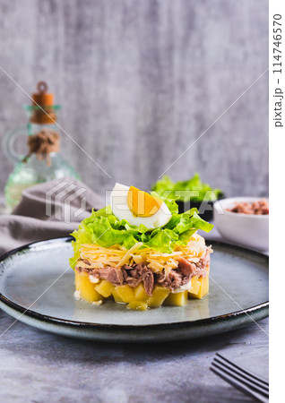 Appetizing salad of canned tuna, potatoes, cheese, lettuce and eggs on a plate vertical view Appetizing salad of canned tuna, potatoes, cheese, lettuce and eggs on a plate vertical view 114746570