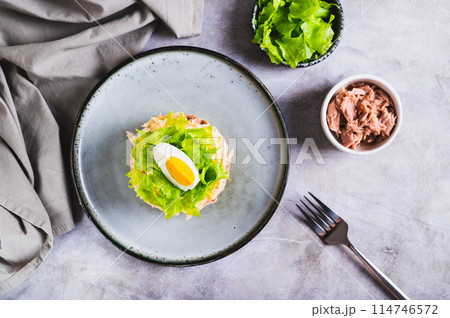 Appetizing salad of canned tuna, potatoes, cheese, lettuce and eggs on a plate top view Appetizing salad of canned tuna, potatoes, cheese, lettuce and eggs on a plate top view 114746572