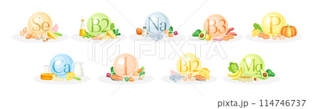 Food Group and Vitamin Category of Macro and Micronutrient Vector Set 114746737
