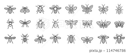 Set of simple insect line icons. Bee mosquito fly beetle. Flying seasonal insects. Outline stroke vector objects 114746786