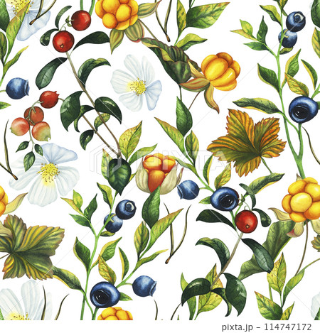Watercolor seamless pattern with hand drawn cowberry, cranberry and blueberry with berries, leaves, branches flowers. Botanical forest berry illustration on white isolated background. Good for 114747172
